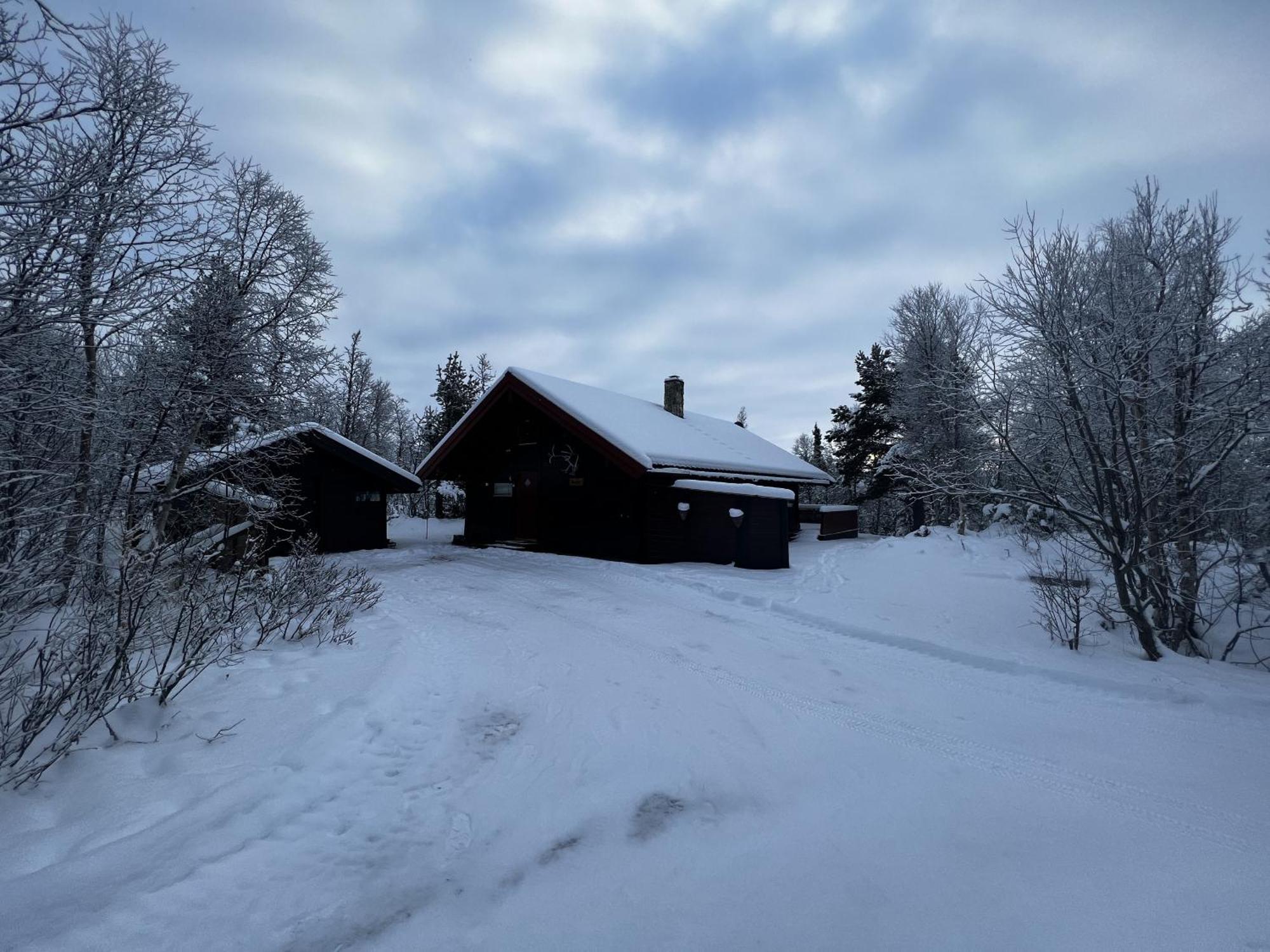 Koselig Hytte Med Usjenert Og Solrik Beliggenhet Geilo Exterior foto