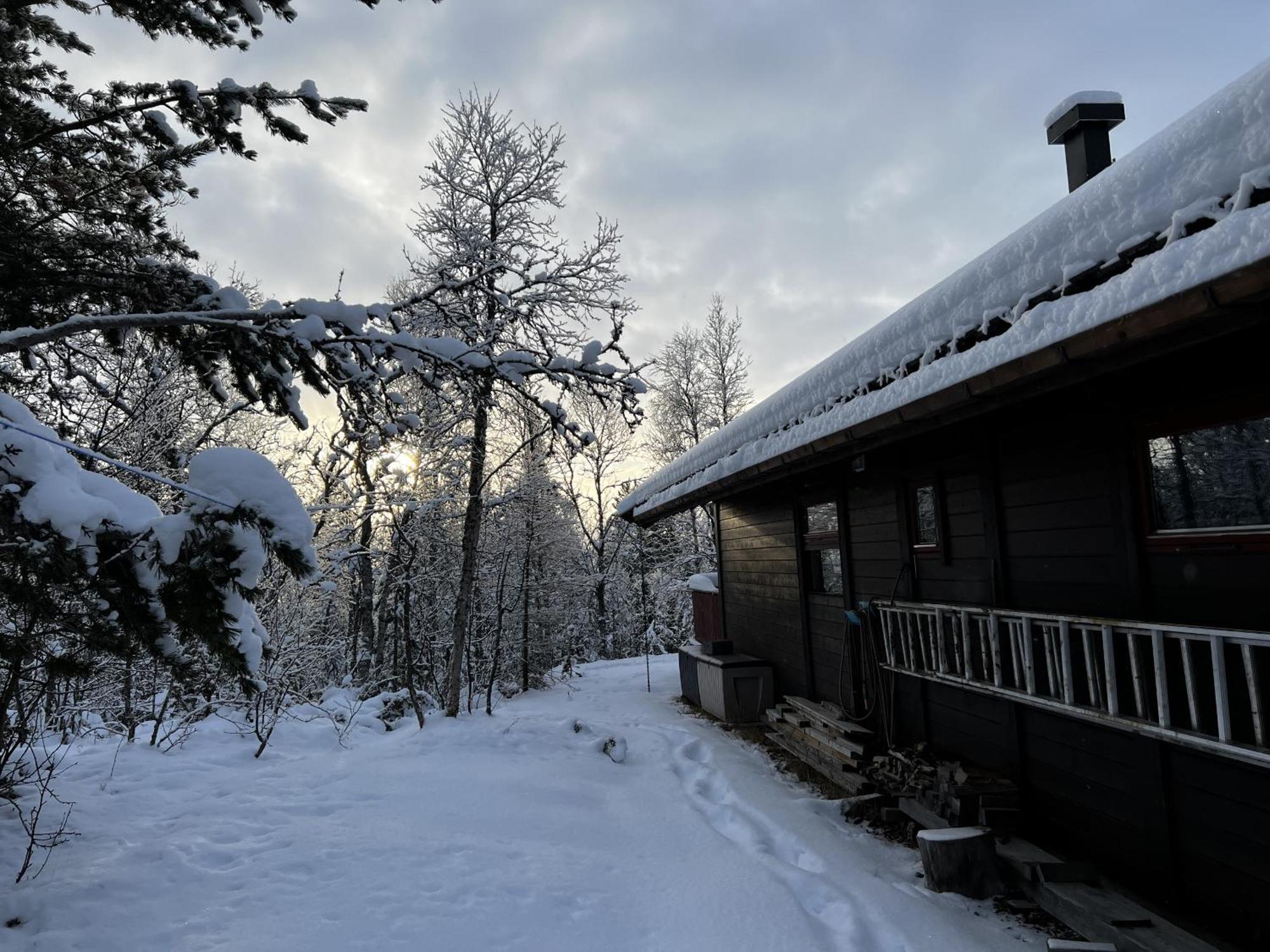 Koselig Hytte Med Usjenert Og Solrik Beliggenhet Geilo Exterior foto
